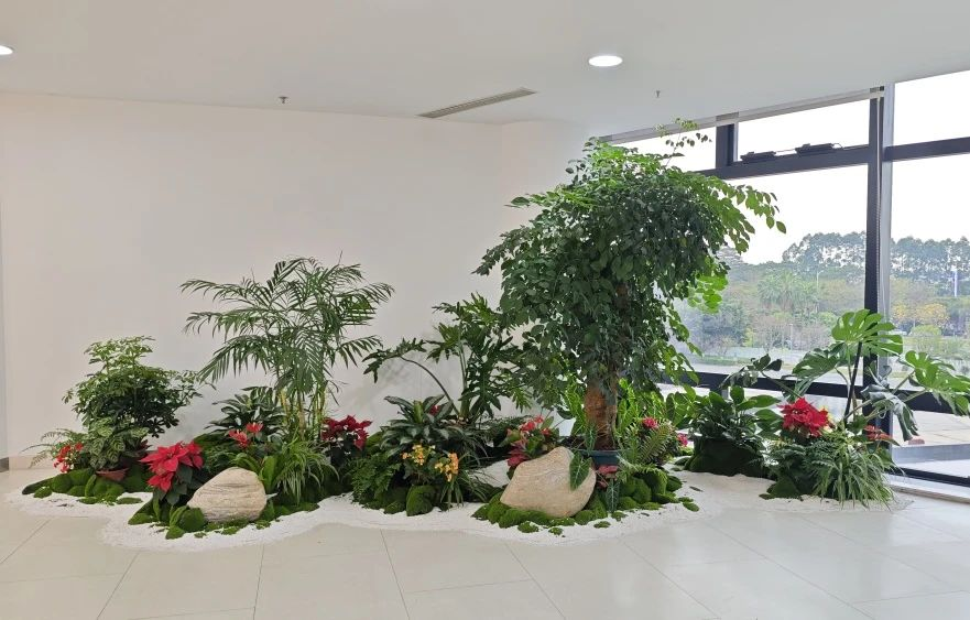 ��ҳ| 918�����ü����й��ٷ���վ