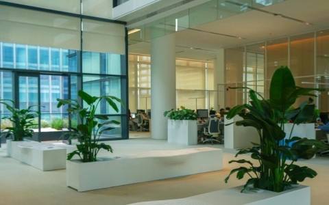 ��ҳ| 918�����ü����й��ٷ���վ