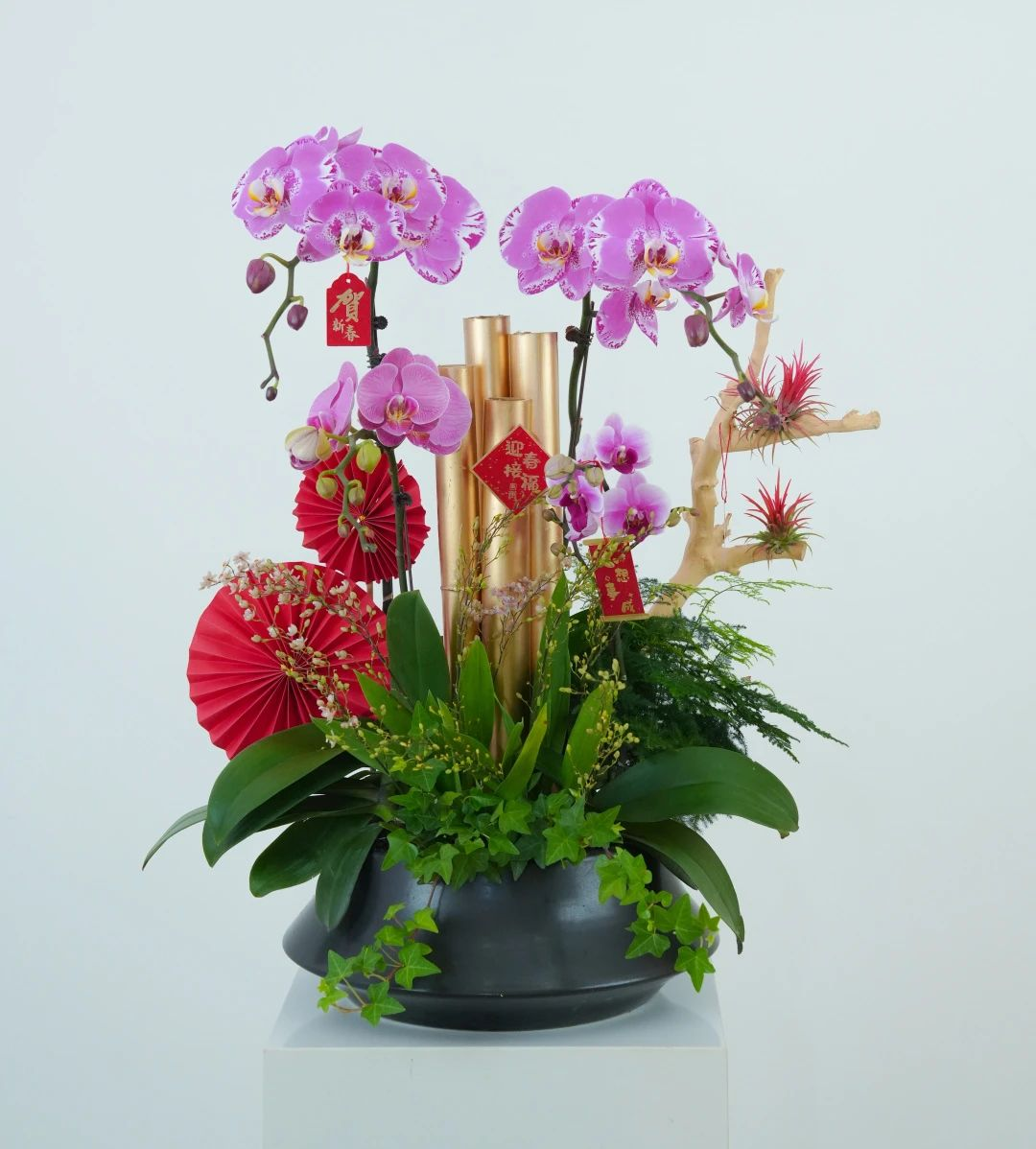 ��ҳ| 918�����ü����й��ٷ���վ