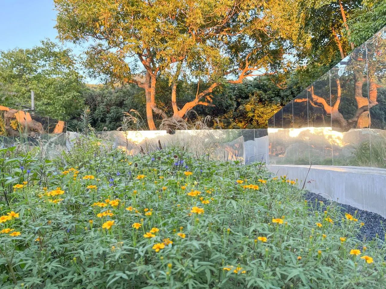 ��ҳ| 918�����ü����й��ٷ���վ