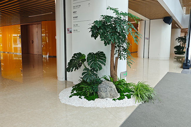 ��������Ժ��ֲ���