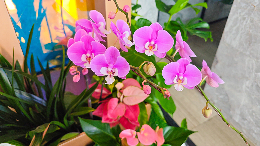 ��������������̻������龰