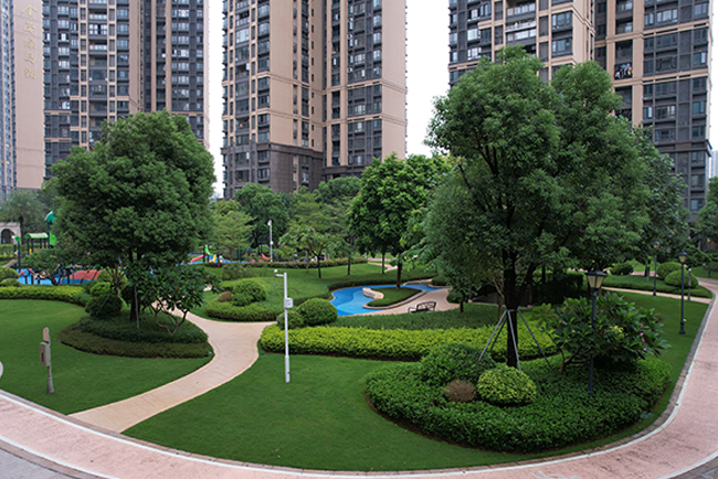 ��ï�̵����̻�����