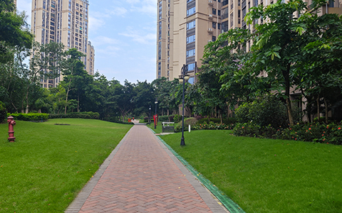 ��ҳ| 918�����ü����й��ٷ���վ