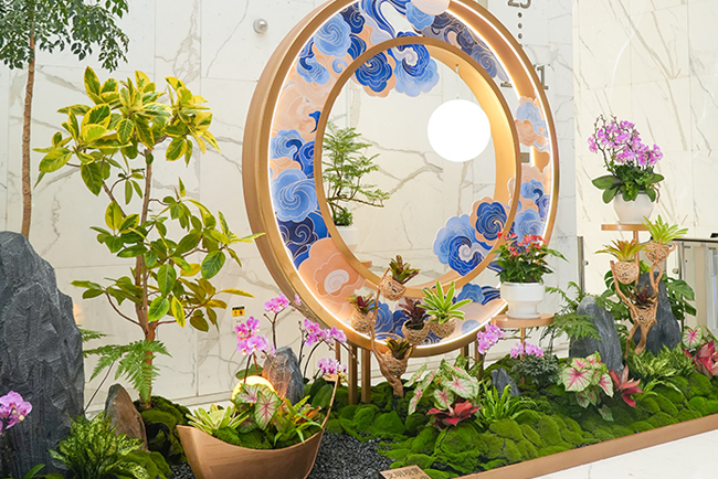 ����������ֲ�쾰