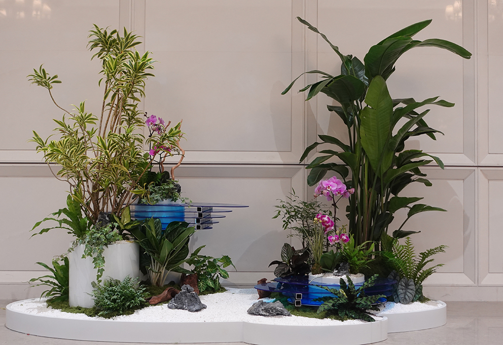 �Ϻ��������Ϊ�з�����ֲ�����