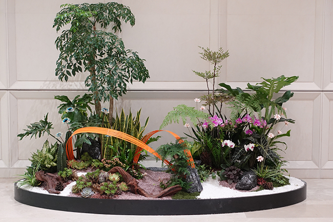 �Ϻ��������Ϊ�з�����ֲ�����