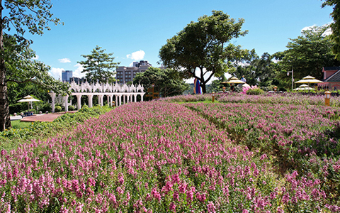 918������԰�ּӿ�ȫ��ս������ ��ʡ����������ɫ�����±��