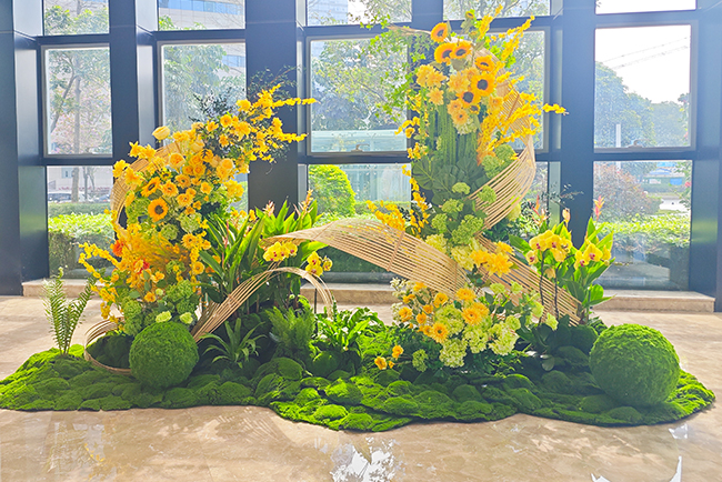 �����̻�����