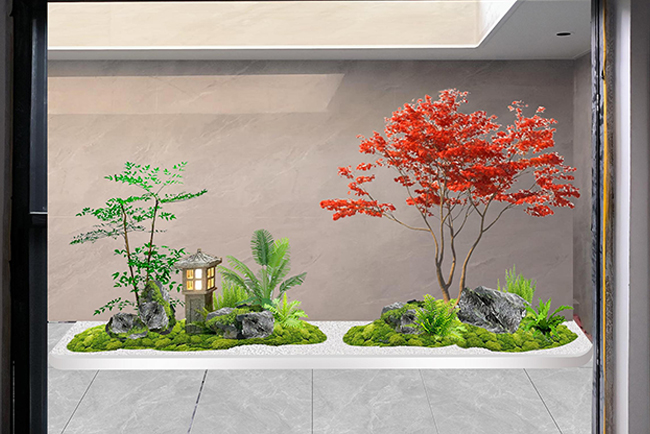 �Ƶ�ֲ������