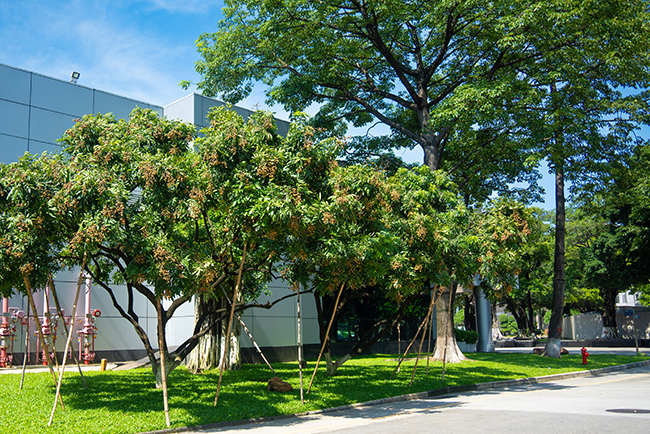 �����й�