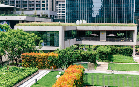 �̻��������� | ��������Ƴ���ƹ�����������������Ȼ